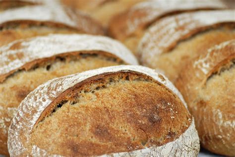 What's all this about SOURDOUGH Bread ?