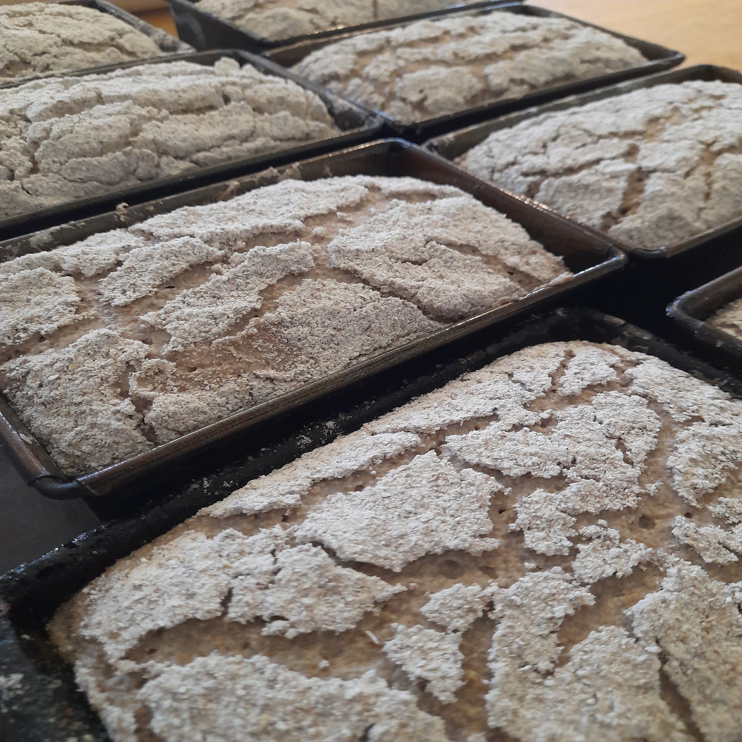 Introduction to Sourdough & Slow Fermentation