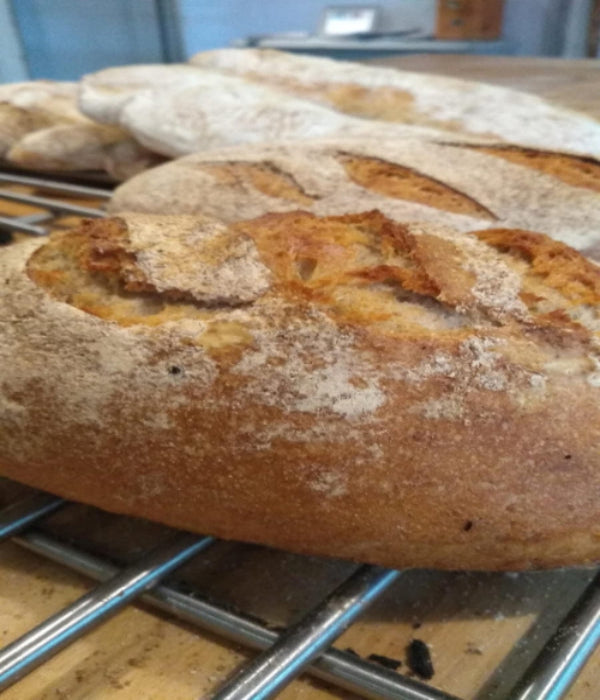 Introduction to Bread Making