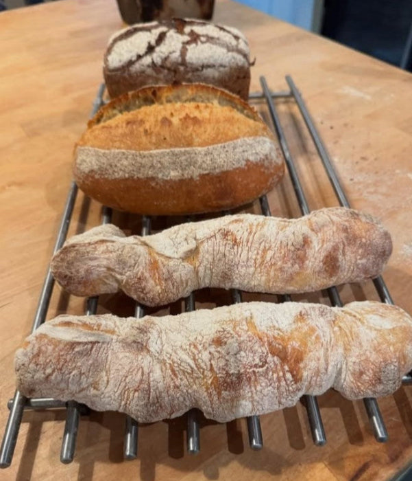 Introduction to Sourdough & Slow Fermentation