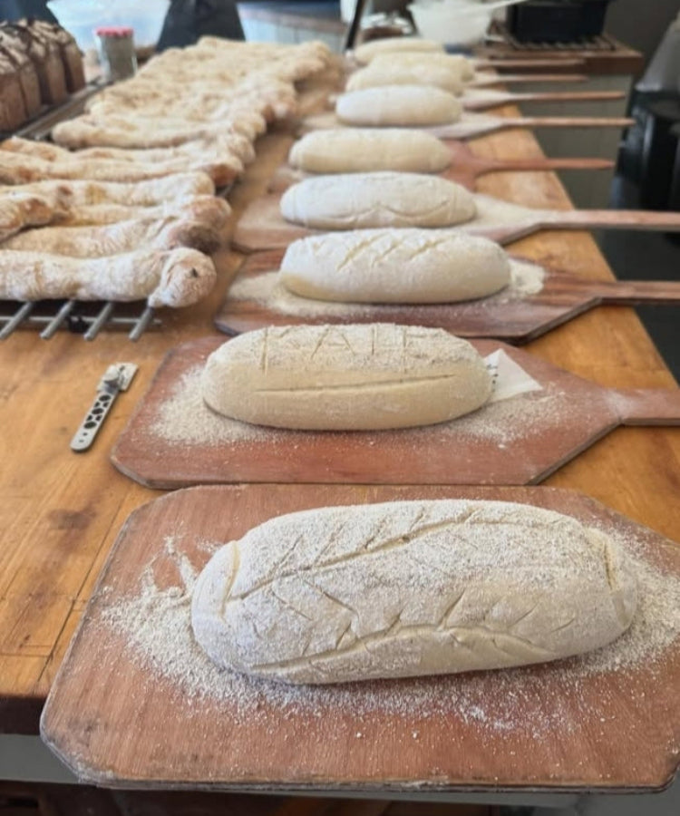 Introduction to Sourdough & Slow Fermentation