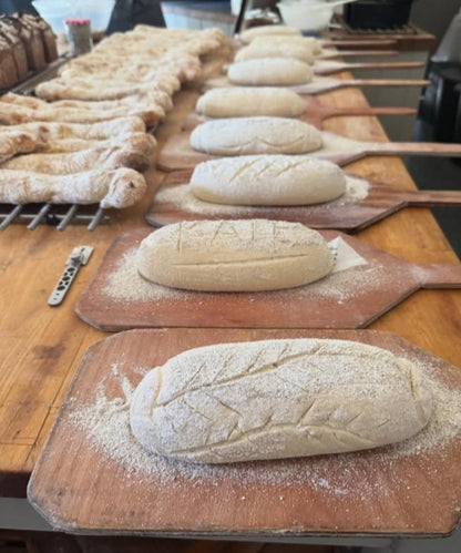 Introduction to Sourdough & Slow Fermentation