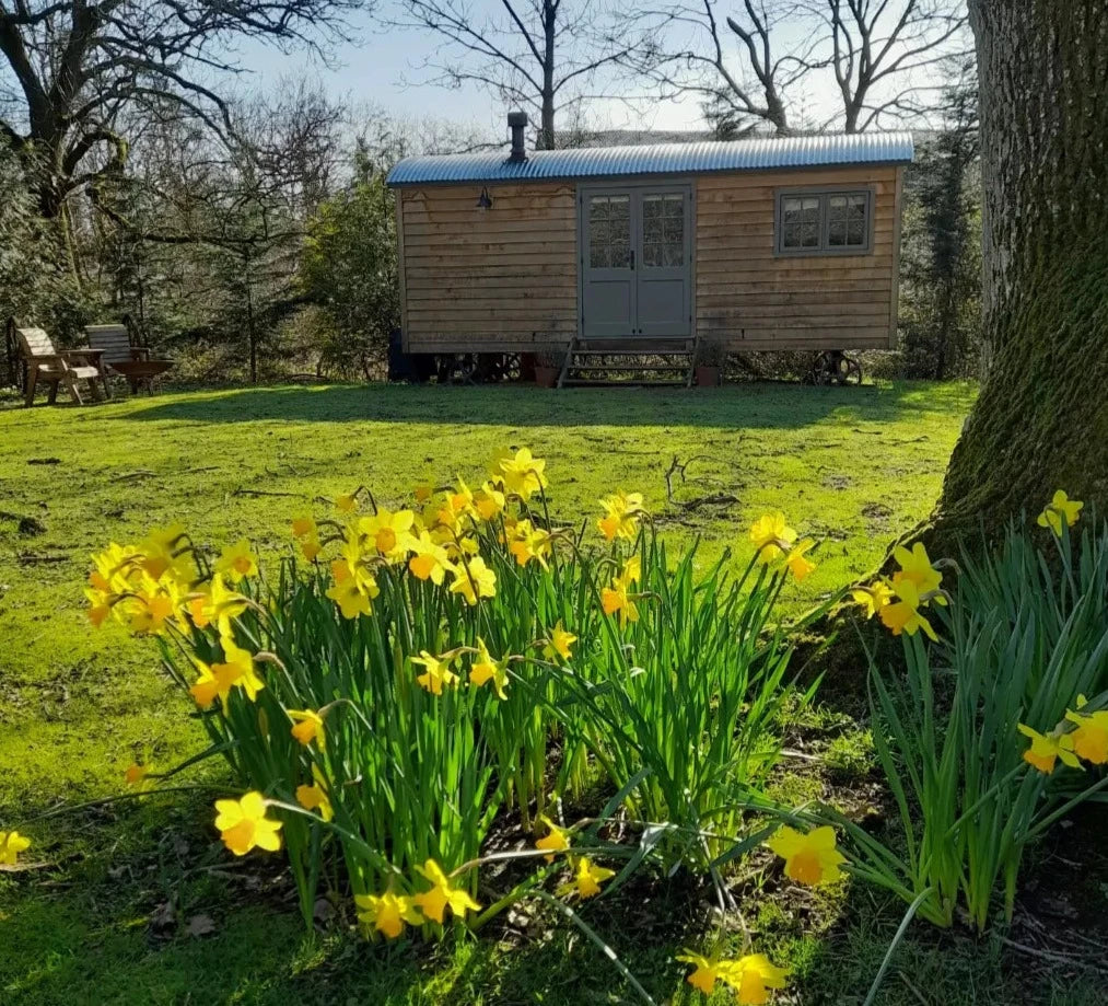 The Baker's Hut (sleeps 2)